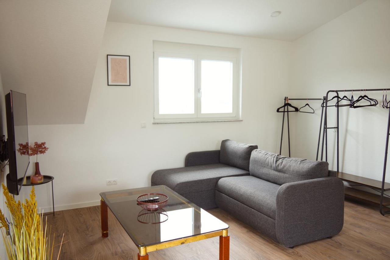 Exklusive Neubauwohnung Mit Wundervoller Aussicht Naehe Europapark Und Rulantica Burgheim Luaran gambar