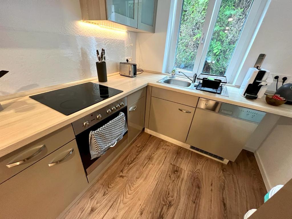 Exklusive Neubauwohnung Mit Wundervoller Aussicht Naehe Europapark Und Rulantica Burgheim Luaran gambar